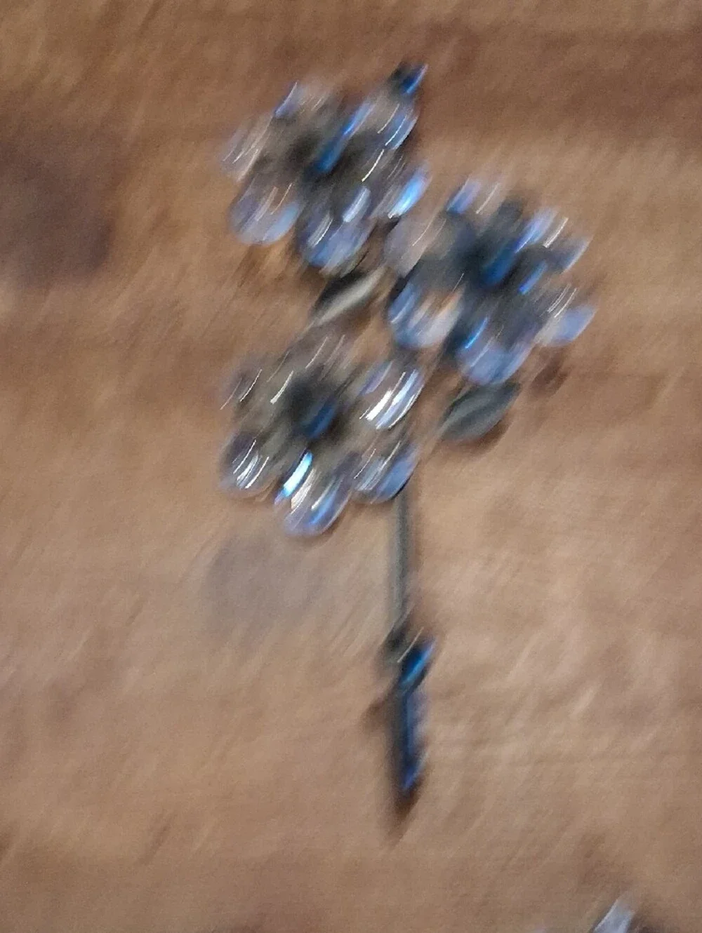 Decorative Floral Wall Hook Rack in Bronze with Clear Petals Set Of 3